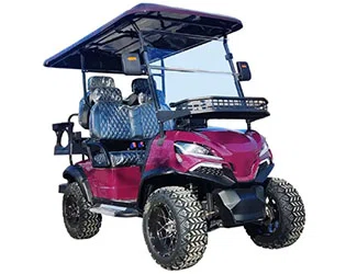 4 Passenger Street Legal Golf Cart for Urban & Campus Transportation